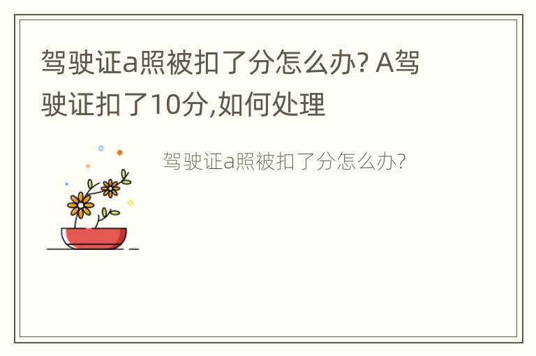 驾驶证a照被扣了分怎么办? A驾驶证扣了10分,如何处理