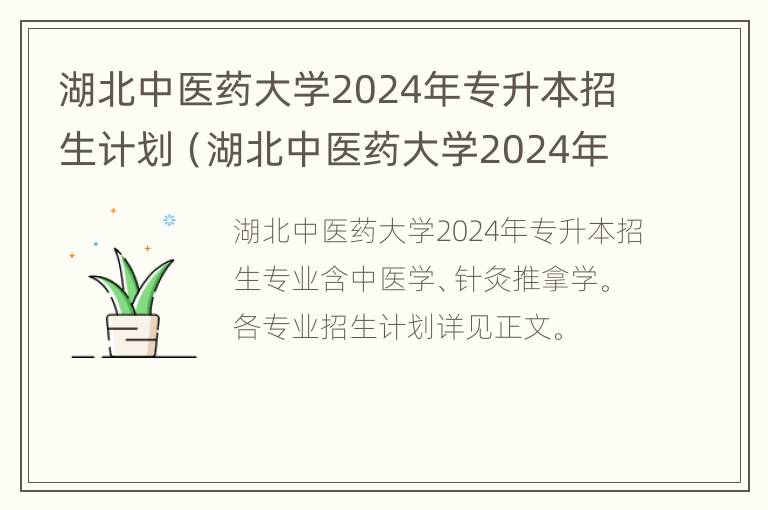 湖北中医药大学2024年专升本招生计划（湖北中医药大学2024年专升本招生计划）