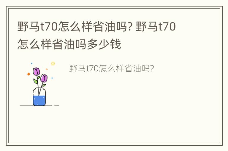 野马t70怎么样省油吗? 野马t70怎么样省油吗多少钱