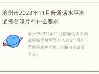 沧州市2023年11月普通话水平测试报名照片有什么要求