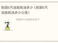 锐骐6汽油版耗油多少（锐骐6汽油版耗油多少公里）