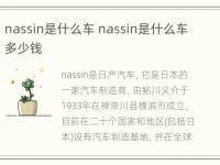 nassin是什么车 nassin是什么车多少钱