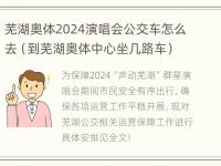 芜湖奥体2024演唱会公交车怎么去（到芜湖奥体中心坐几路车）