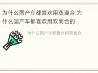 为什么国产车都喜欢用双离合 为什么国产车都喜欢用双离合的