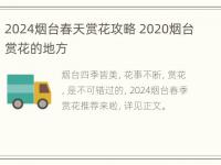 2024烟台春天赏花攻略 2020烟台赏花的地方