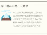 车上的max是什么意思