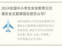 2024全国中小学生安全教育日交通安全主题课观后感怎么写？