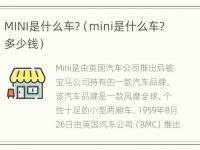 MINI是什么车?（mini是什么车?多少钱）