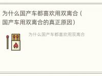 为什么国产车都喜欢用双离合（国产车用双离合的真正原因）