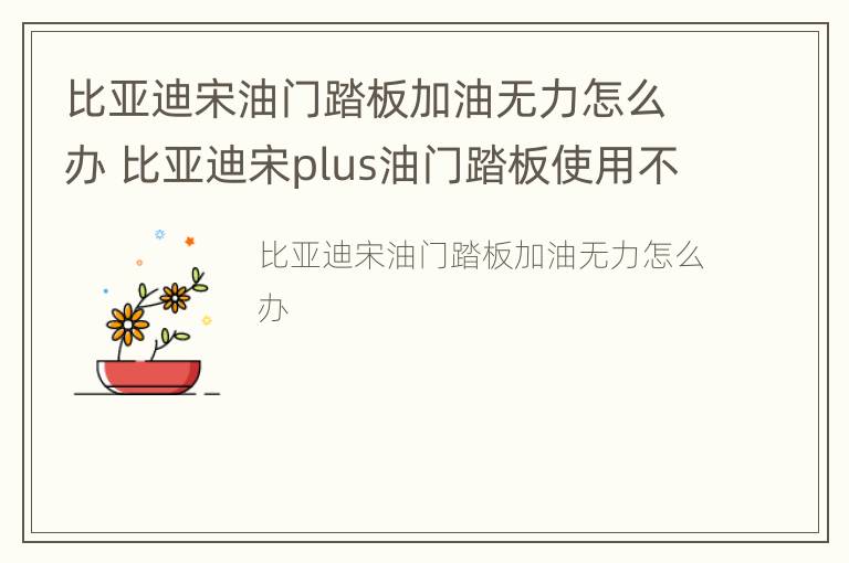 比亚迪宋油门踏板加油无力怎么办 比亚迪宋plus油门踏板使用不灵活