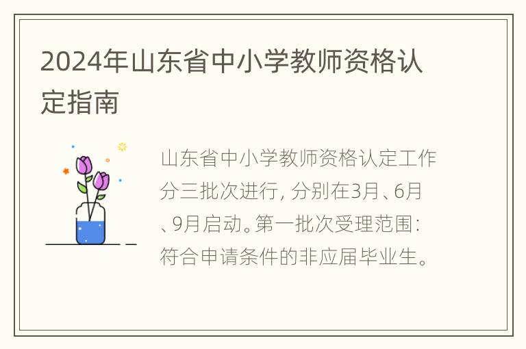 2024年山东省中小学教师资格认定指南