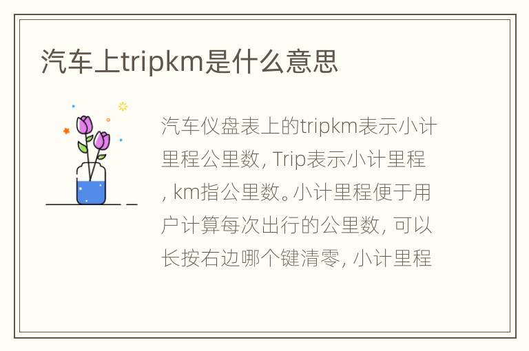 汽车上tripkm是什么意思