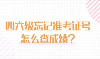 四级忘记准考证号怎么查成绩（英语四级忘记准考证号怎么查成绩百度经验）