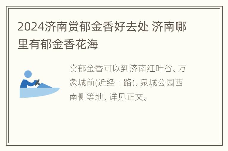 2024济南赏郁金香好去处 济南哪里有郁金香花海