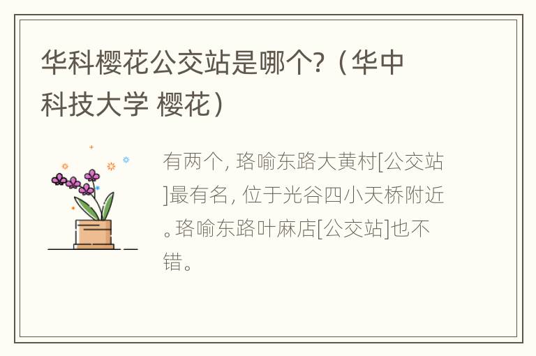 华科樱花公交站是哪个？（华中科技大学 樱花）