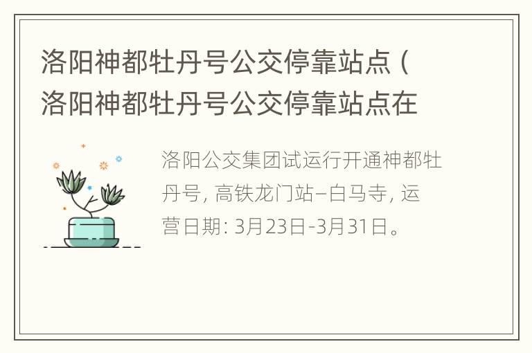 洛阳神都牡丹号公交停靠站点（洛阳神都牡丹号公交停靠站点在哪）