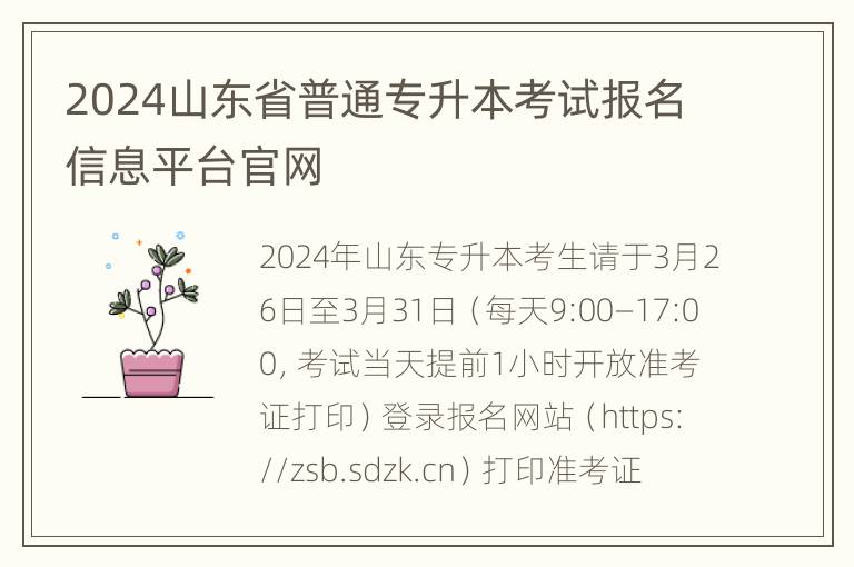 2024山东省普通专升本考试报名信息平台官网