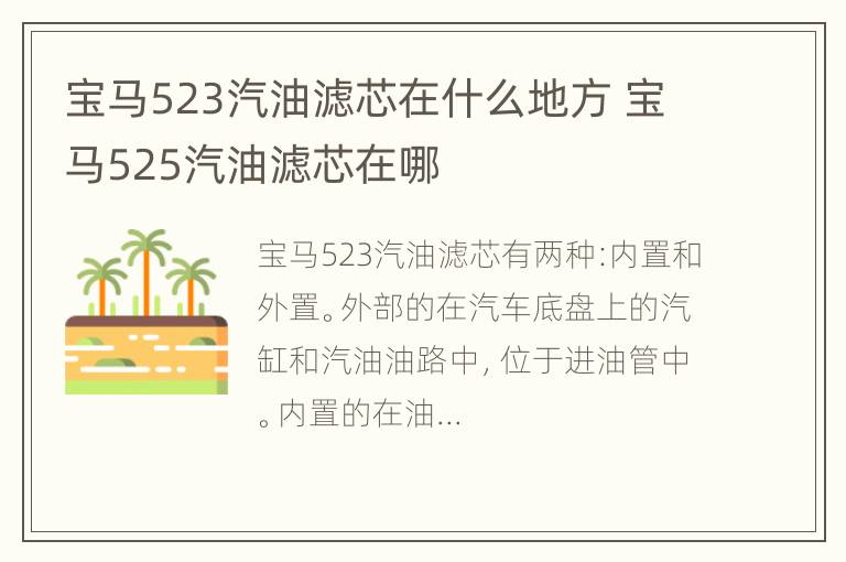 宝马523汽油滤芯在什么地方 宝马525汽油滤芯在哪