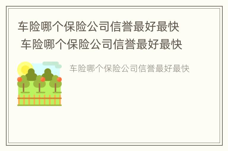 车险哪个保险公司信誉最好最快 车险哪个保险公司信誉最好最快的