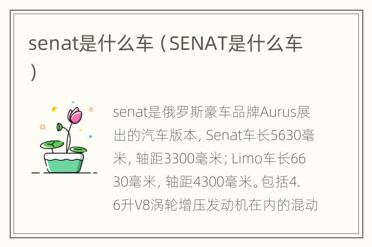 senat是什么车（SENAT是什么车）