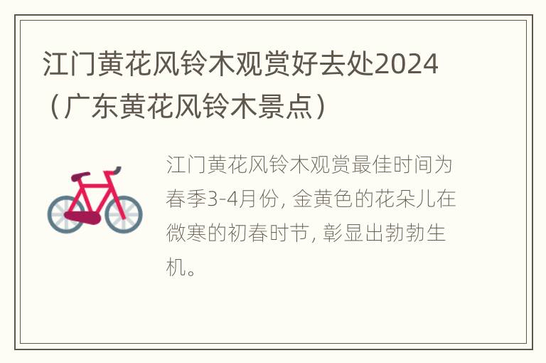 江门黄花风铃木观赏好去处2024（广东黄花风铃木景点）