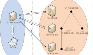 域名服务器是什么（域名服务器是啥）