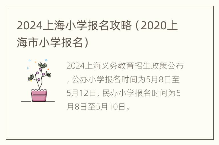 2024上海小学报名攻略（2020上海市小学报名）