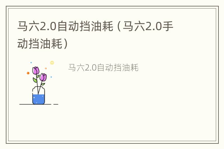 马六2.0自动挡油耗（马六2.0手动挡油耗）