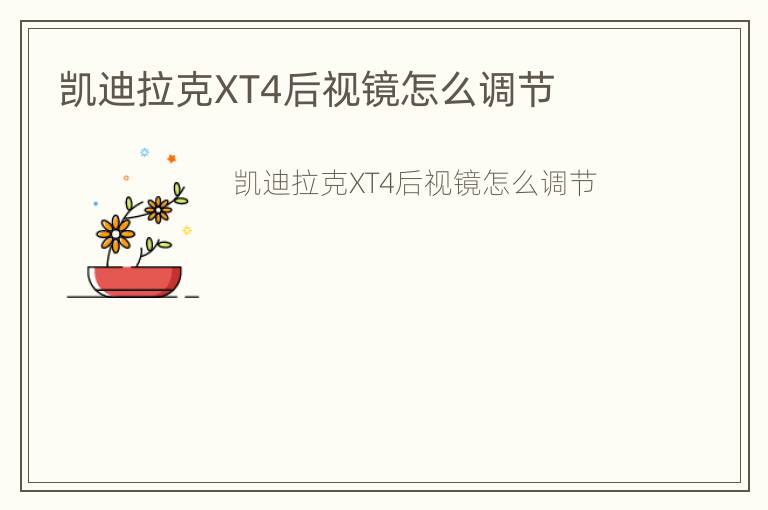 凯迪拉克XT4后视镜怎么调节