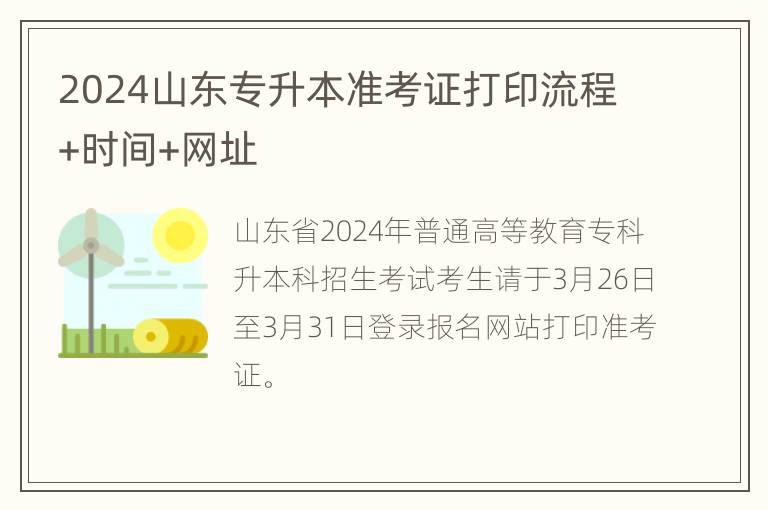 2024山东专升本准考证打印流程+时间+网址