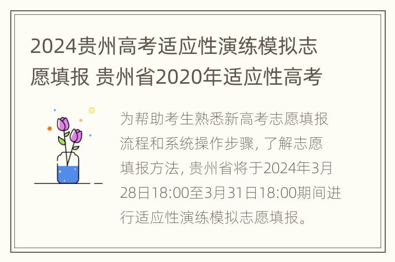 2024贵州高考适应性演练模拟志愿填报 贵州省2020年适应性高考