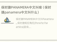 保时捷PANAMERA中文叫啥（保时捷panamera中文叫什么）