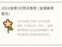 2024淄博5月赏花推荐（淄博春季看花）