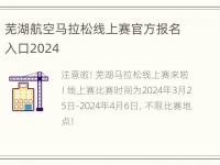 芜湖航空马拉松线上赛官方报名入口2024