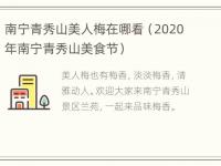 南宁青秀山美人梅在哪看（2020年南宁青秀山美食节）