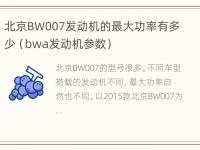 北京BW007发动机的最大功率有多少（bwa发动机参数）