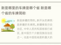 新是哪里的车牌是哪个省 新是哪个省的车牌简称