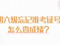 四级忘记准考证号怎么查成绩（英语四级忘记准考证号怎么查成绩百度经验）