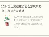 2024微山湖樱花游园会游玩攻略 微山樱花大道地址