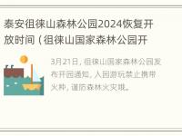 泰安徂徕山森林公园2024恢复开放时间（徂徕山国家森林公园开放了吗）