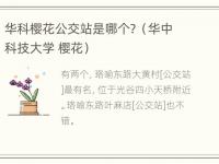 华科樱花公交站是哪个？（华中科技大学 樱花）