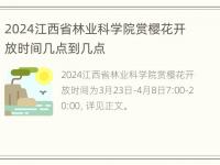 2024江西省林业科学院赏樱花开放时间几点到几点