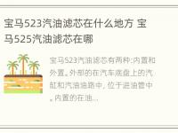 宝马523汽油滤芯在什么地方 宝马525汽油滤芯在哪