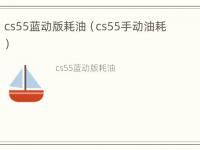 cs55蓝动版耗油（cs55手动油耗）