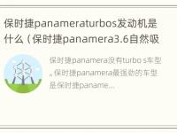 保时捷panameraturbos发动机是什么（保时捷panamera3.6自然吸气发动机）