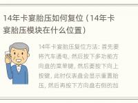 14年卡宴胎压如何复位（14年卡宴胎压模块在什么位置）