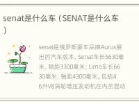 senat是什么车（SENAT是什么车）