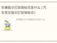 车辆指示灯故障标志是什么（汽车常见指示灯故障标志）