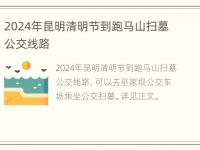 2024年昆明清明节到跑马山扫墓公交线路