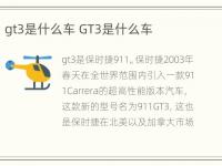 gt3是什么车 GT3是什么车